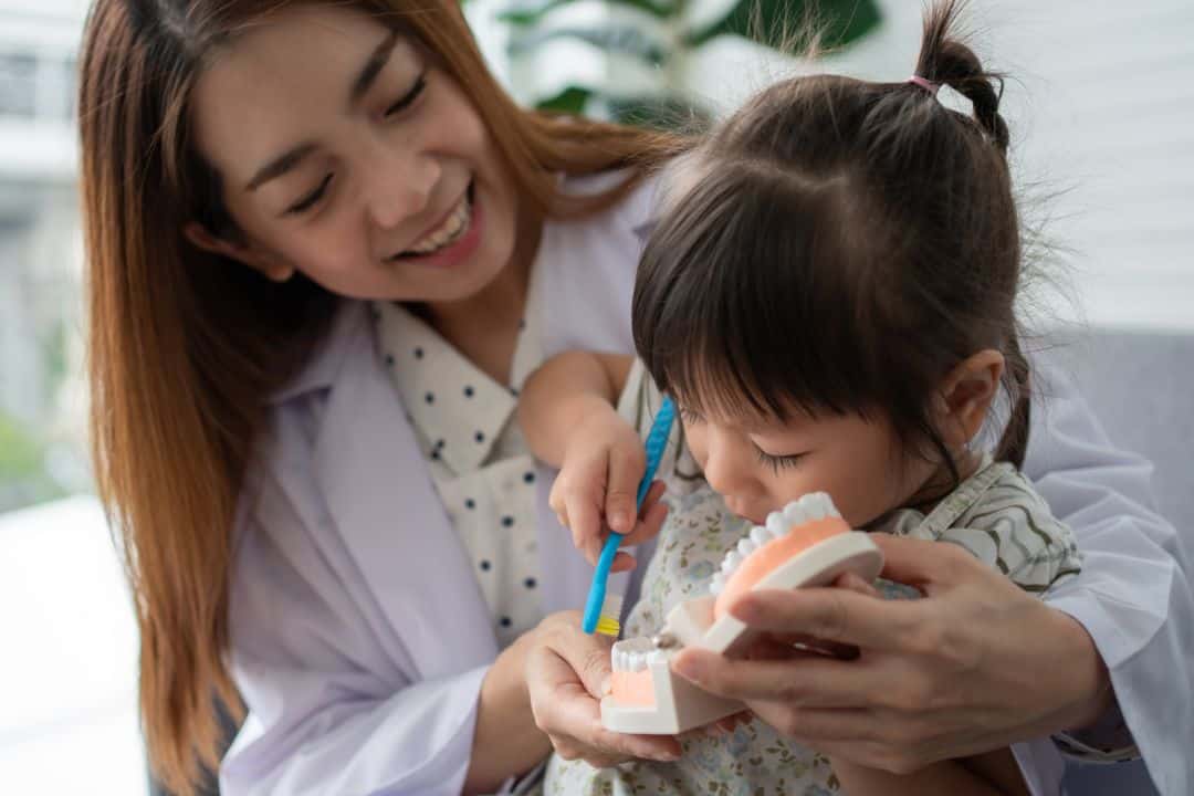 Dentist teaching child to brush teeth model