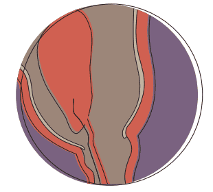 Colourful abstract pattern in circular design