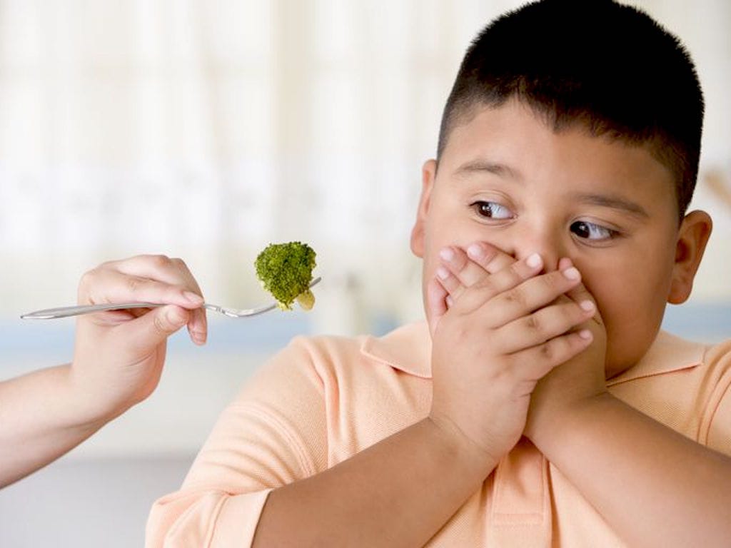 Child covering mouth, refusing broccoli on fork.